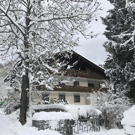 Amadee Appartements Bad Kleinkirchheim Bagian luar foto